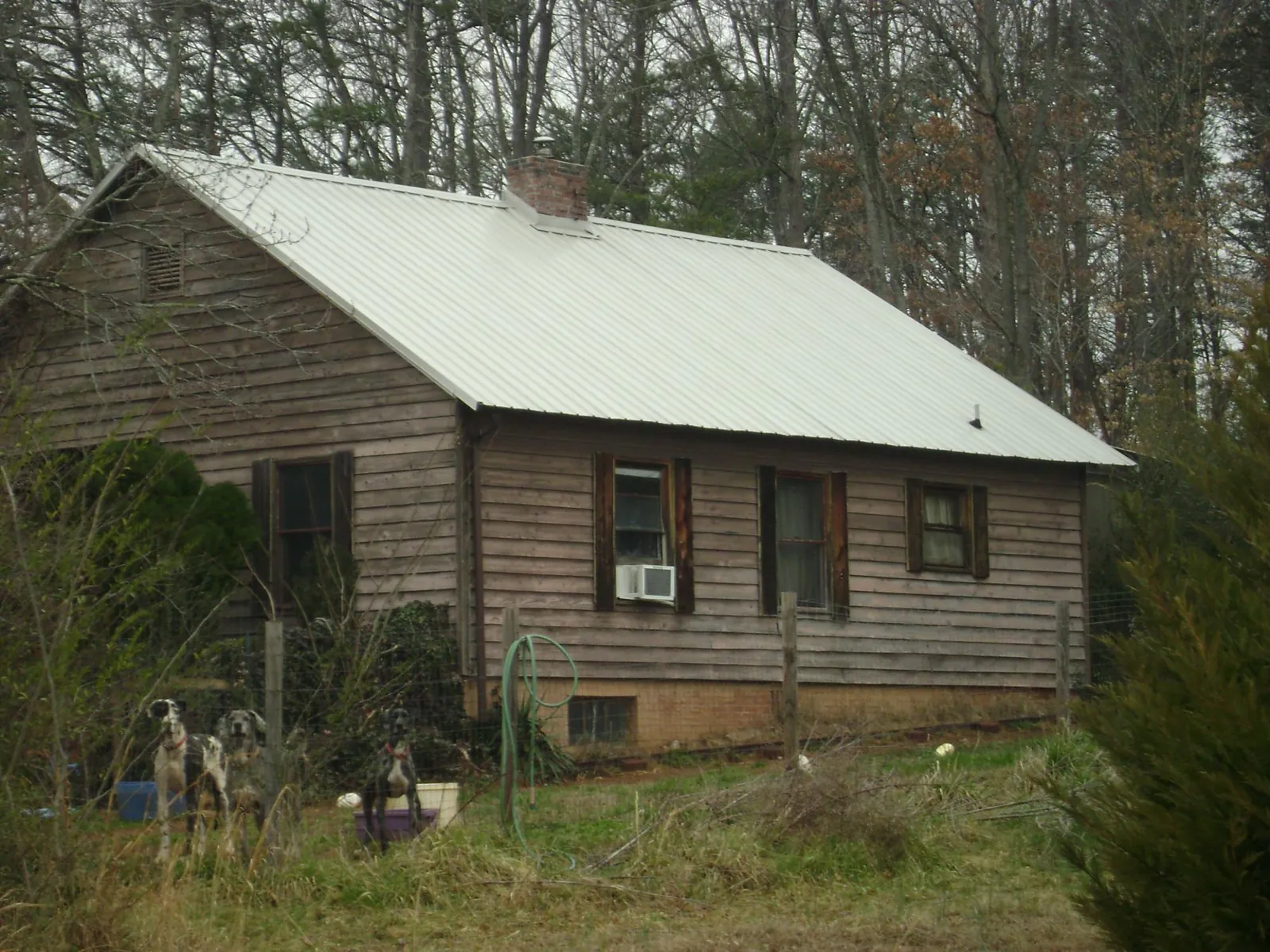 White metal roof on an old wood sided farmhouse, from a Asphalt Shingle Roof Repair job in Alta